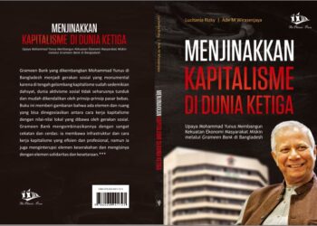 Menjinakkan Kapitalisme di Dunia Ketiga
